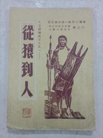 1949年《从猿到人》