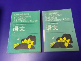 语文课本：90年代 成人中专语文 上下两本合拍 里面全新 无任何字迹