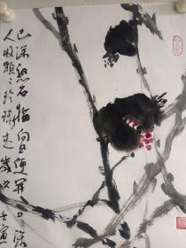 高级珍藏版老纸！保证真迹送礼投资收藏得者惜缘！藏友们只要是真迹！就不要错过这个村！就没这个店！收藏书画200年就是文物价值！就在一瞬间值得拥有珍惜，切记郭，啟，恒，郭，庆，金实力派书画篆刻家，河南省书法家协会会员，毕业中国艺术研究院，求学中央美院，首都师范大学，国家画院，北京师范大学等，任中国中南海画院院士，滑州书画院院长。好东西转眼即逝 几十年也不算短 也许就是一辈子 望珍惜！ 错过已不再有！