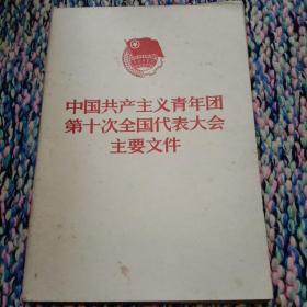 【中国共产党主义青年团第十次全国代表大会主要文件】