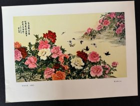 同一来源：七十年代 ：宣传画 ： 画片：鉴赏： 【欣欣向荣】-国画-曾杏绯（女）： 彩色国画： 尺寸约36——25.5厘米： 详情请看图片·0518·003