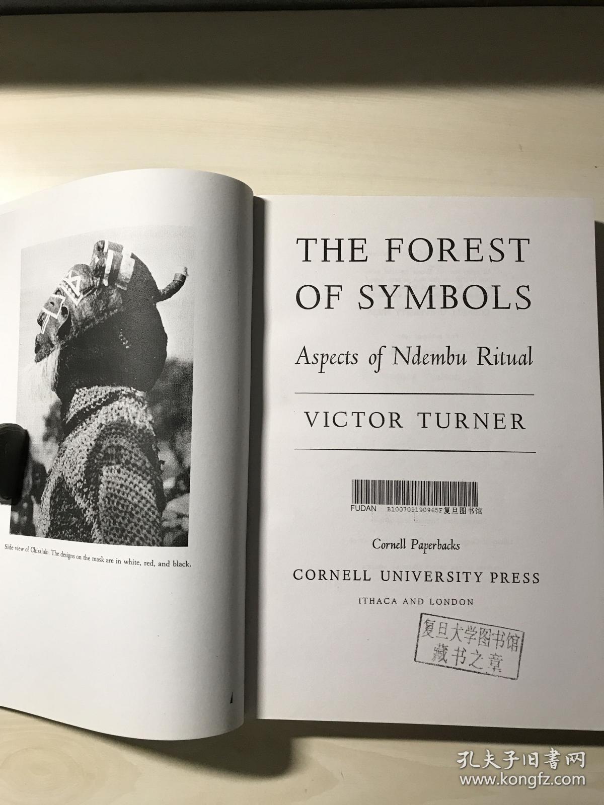 【英文原版】学习参考资料1-6（The Forest of Symbols） 品相自鉴