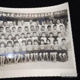 福州大学幼儿园1974年毕业班小朋友合影，1974.7.11（小铺只发顺丰，邮费实收，鸽子勿扰！）