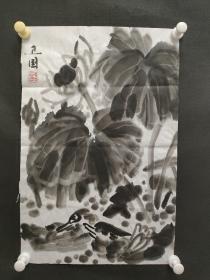 122d24 著名画家、花鸟师承李苦禅大师、中国美术家协会北京分会会员—钱卫国  花鸟国画作品一幅 ，纸本软片，尺寸约49*33厘米！