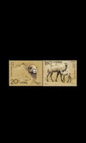 邮票1993-3野骆驼