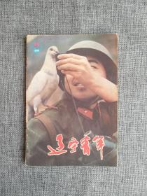 辽宁青年1987 15 【封面《亲昵》，封三歌曲《人生小站》，名画《圣母与孩子》，黄龙洞里的第一行足迹，弗洛伊德学说及其他，收藏剪报 其乐无穷】