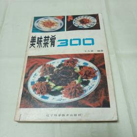 美味菜肴300