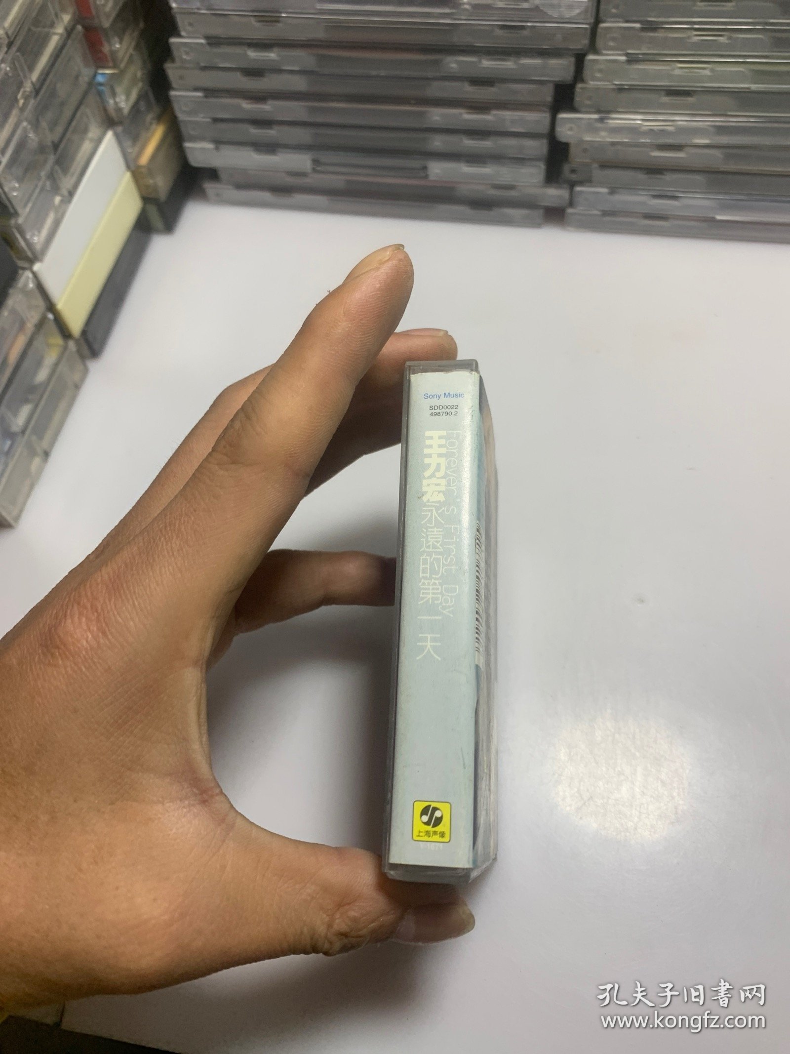 老王磁力不迷路_老王2021最新