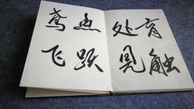 轶名书法精品册页一册28页全，宣纸双层精裱，书法功力大家风范。17x12x2cm。