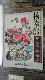 《杨幸郎花鸟作品精选》中国近现代名家精品丛书(只发中通快递15元，卷起来邮寄，多单一邮，青海西藏新疆60元，以最重书籍邮费为准。因疫情不能邮寄者，可代为保存至正常发货，无故取消者拉黑)