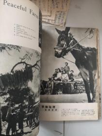 少见 关祖章长跋墨迹一页 写满 满洲国画册一本 画册品茶书壳脱落 永久保真