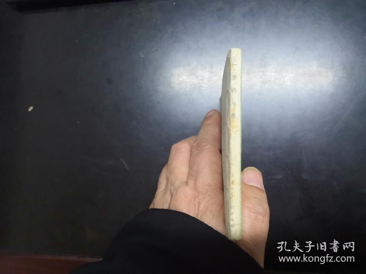 一岁的小鹿