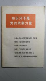 《知识分子是党的依靠力量》，改革开放后落实知识分子政策的历史文献。