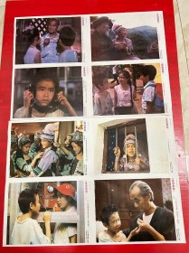 （电影海报）走进象群（二开剧照一套）于1989年上映，中国儿童电影制片厂摄制，品相以图为准