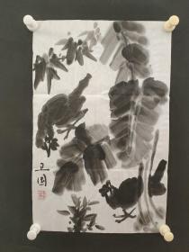 122c32 著名画家、花鸟师承李苦禅大师、中国美术家协会北京分会会员—钱卫国  花鸟国画作品一幅 ，纸本软片，尺寸约49*33厘米！