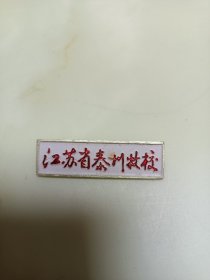 江苏泰州技校微章
