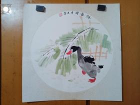 杨彪老师写意鸭子，卡纸