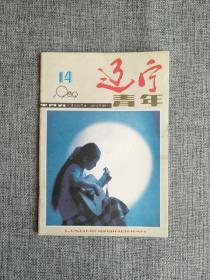 辽宁青年 1989 14【封面《月光曲》，封二歌曲《我们走向大自然》，名画《白桦林》，让我们互赠爱情线吧，肮脏交易台上的祭物，时常放飞感情天使，日本的"猫手"公司。八九十年代最畅销 的刊物之一】