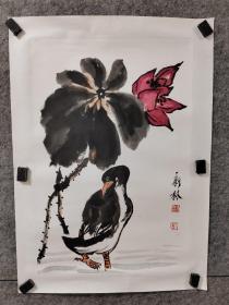 广州美院教授，硕士生导师，中美协理事，中美协创作中心主任马新林教授写意荷花鸭子，托片，马新林，祖籍山东省莱西市，1956年10月1日出生于济南市。毕业于广州美术学院中国画系，获文学硕士学位，现为中国美术家协会会员部主任，中国美术家协会理事