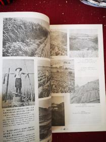 中华画报  第八九期  1956年八开一册