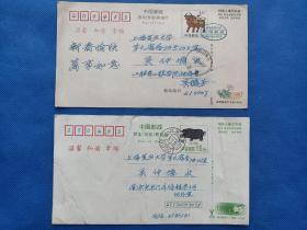 上海复旦大学  吴仲墀  上款  ，明信片两张，尺寸18.5*10厘米