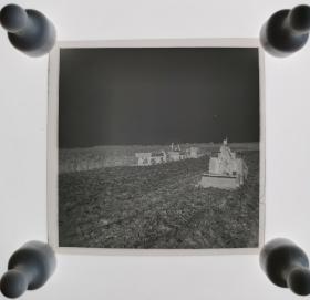 1979年老照片底片一张，120底片，机械收割玉米