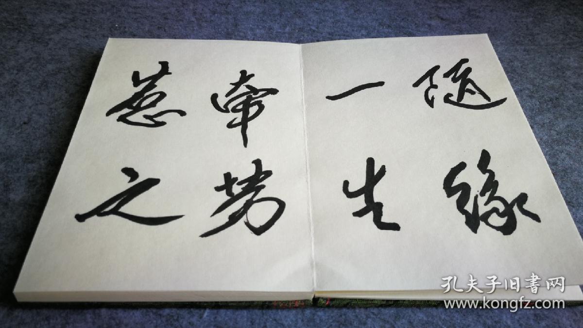 轶名书法精品册页一册28页全，宣纸双层精裱，书法功力大家风范。17x12x2cm。