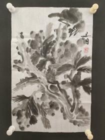 122c25 著名画家、花鸟师承李苦禅大师、中国美术家协会北京分会会员—钱卫国  花鸟国画作品一幅 ，纸本软片，尺寸约49*33厘米！