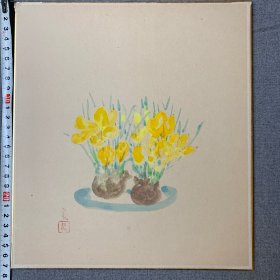 日本回流字画，色纸，卡纸画，正木良子，花卉图