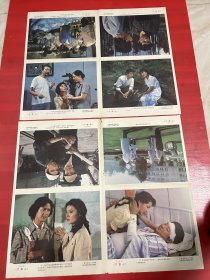 （电影海报）寸草心（二开剧照一套）于1983年上映，广西电影制片厂摄制，品相以图为准