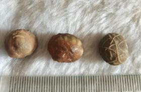 葡萄干玛瑙原籽一组三个  小赏石   手串石  项链石