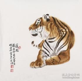 寅虎大吉，伏虎遥思，虎虎生威。大中工笔，68x68cm软片。一改上山虎下山虎风格，独树一帜。
