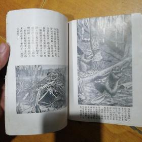 只印2000册：民国25年良友公司初版初印《珍奇的走兽》一册全，品佳，全图！18*13厘米