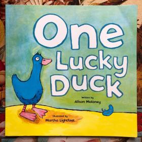 One Lucky Duck（平装，印度尼西亚印刷，英文原版绘本故事童书）