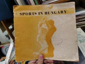 Sports in hungary 匈牙利体育