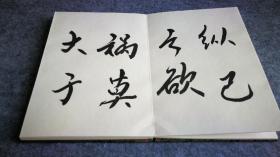 轶名书法精品册页一册28页全，宣纸双层精裱，书法功力大家风范。17x12x2cm。