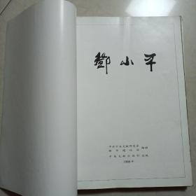 邓小平大画册