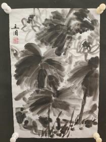 122c01 著名画家、花鸟师承李苦禅大师、中国美术家协会北京分会会员—钱卫国  花鸟国画作品一幅 ，纸本软片，尺寸约49*34厘米！