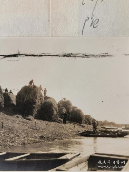 1964当涂县湖阳公社船运草肥料的老照片