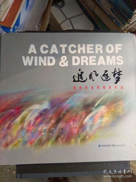 追风逐梦
