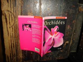 Orchidees,兰花,迷你百科全书,太阳,外文原版,法文书,大32开,具体看图