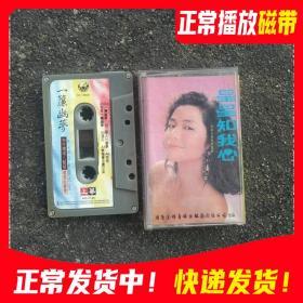 磁带琼瑶电视剧一帘幽梦原声带歌曲高胜美李翊君
