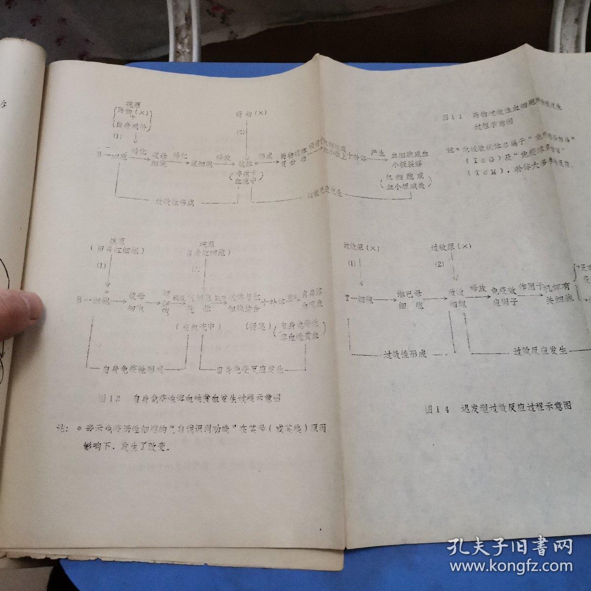 溶细胞性过敏反应第二型
迟钝型过敏反应等的防治方法