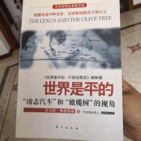 世界是平的：《世界是平的：21世纪简史》姊妹篇