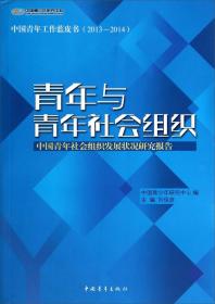青年与青年社会组织:中国青年社会组织发展状况研究报告(2013-2014)