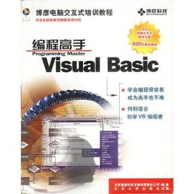 Visual Basic编程高手