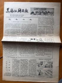 报纸…黑龙江科技报，1979年12月14日