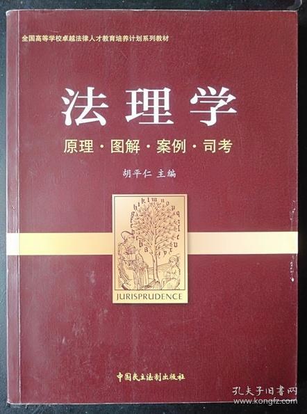 法理学 原理·图解·案例·司考胡平仁中国民主9787516204252