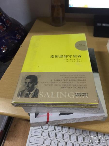 麦田里的守望者 纪念版