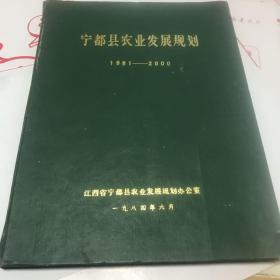 宁都县农业发展规划 1981--2000